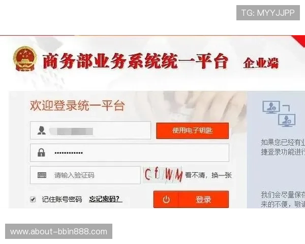 BBIN平台官网安全登录技巧及账号保护措施全攻略